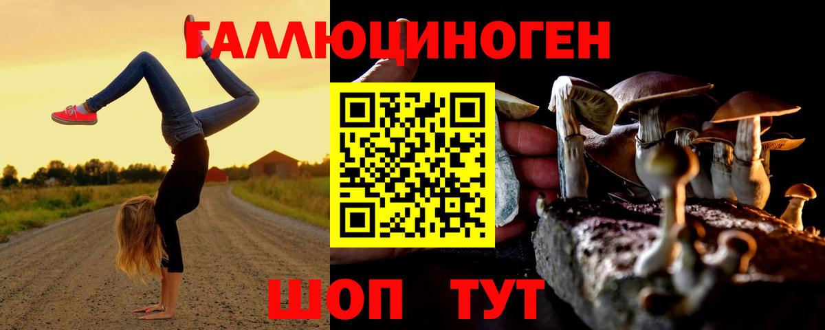 Галлюциногенные грибы прущие грибы  цена   Балтийск  Псилоцибиновые грибы Psilocybe  Вход с VPN 