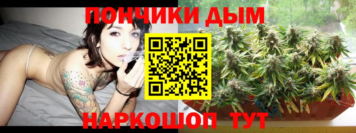 Шишки марихуана гибрид Балтийск